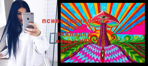 дживик Краснослободск