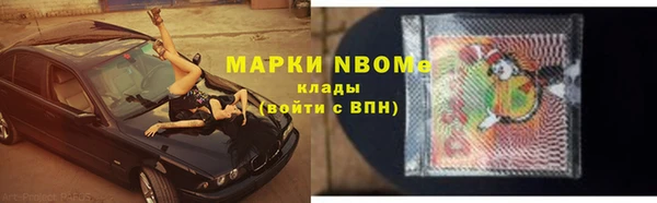 дживик Краснослободск