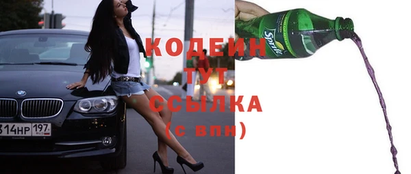 дживик Краснослободск