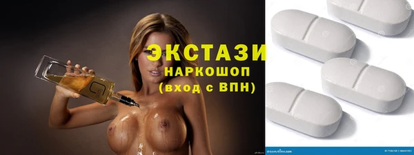 дживик Краснослободск