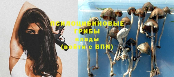 мдпв Пенза