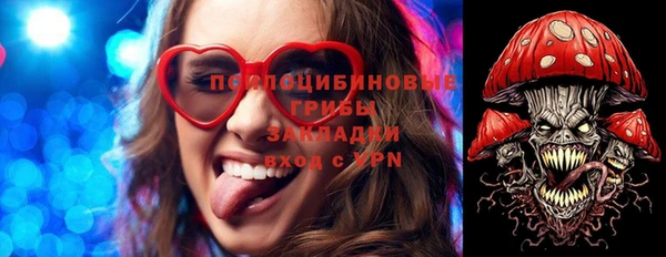 бошки Коряжма